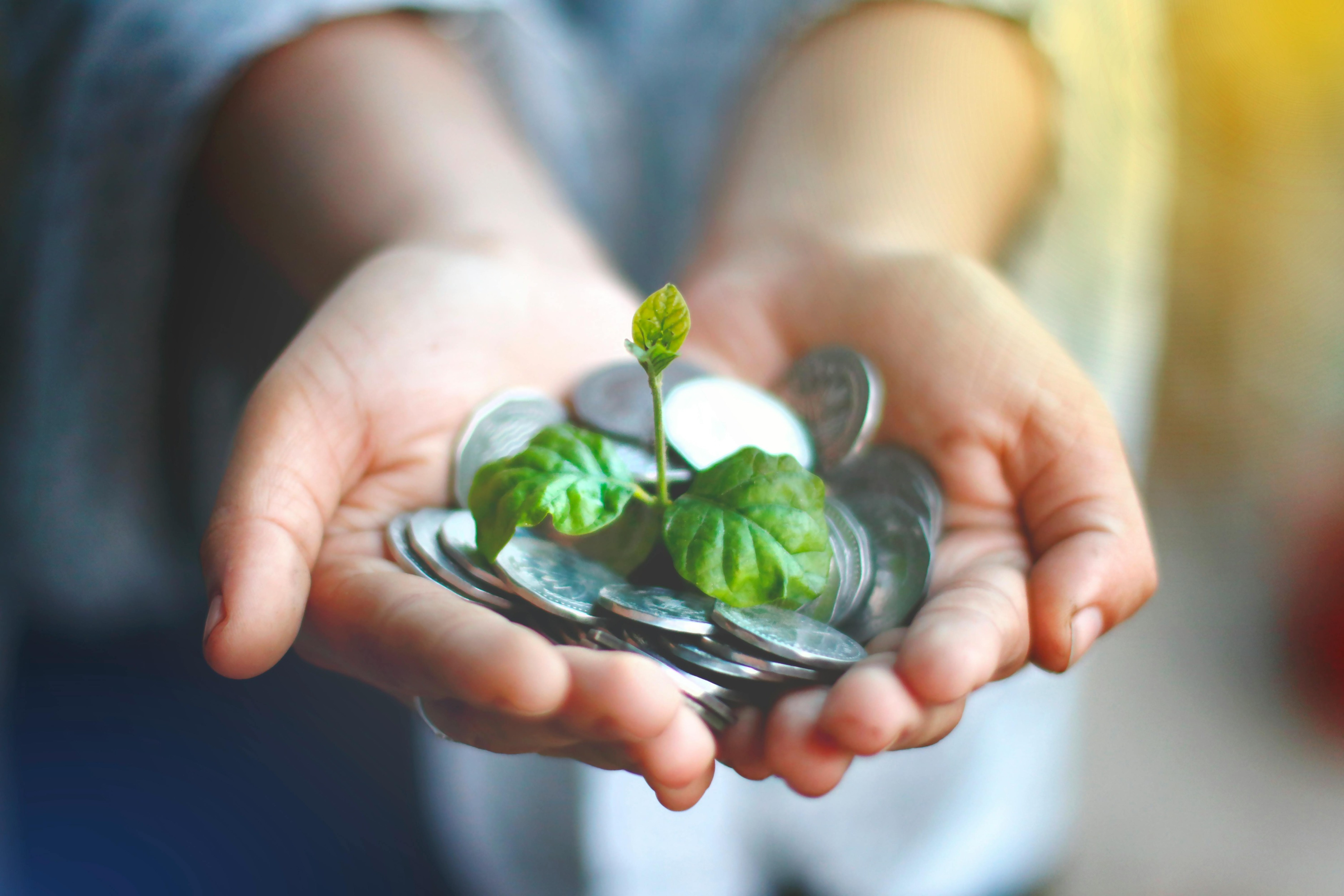 Photo by Akil  Mazumder: https://www.pexels.com/photo/a-person-holding-coins-with-a-small-plant-5550904/