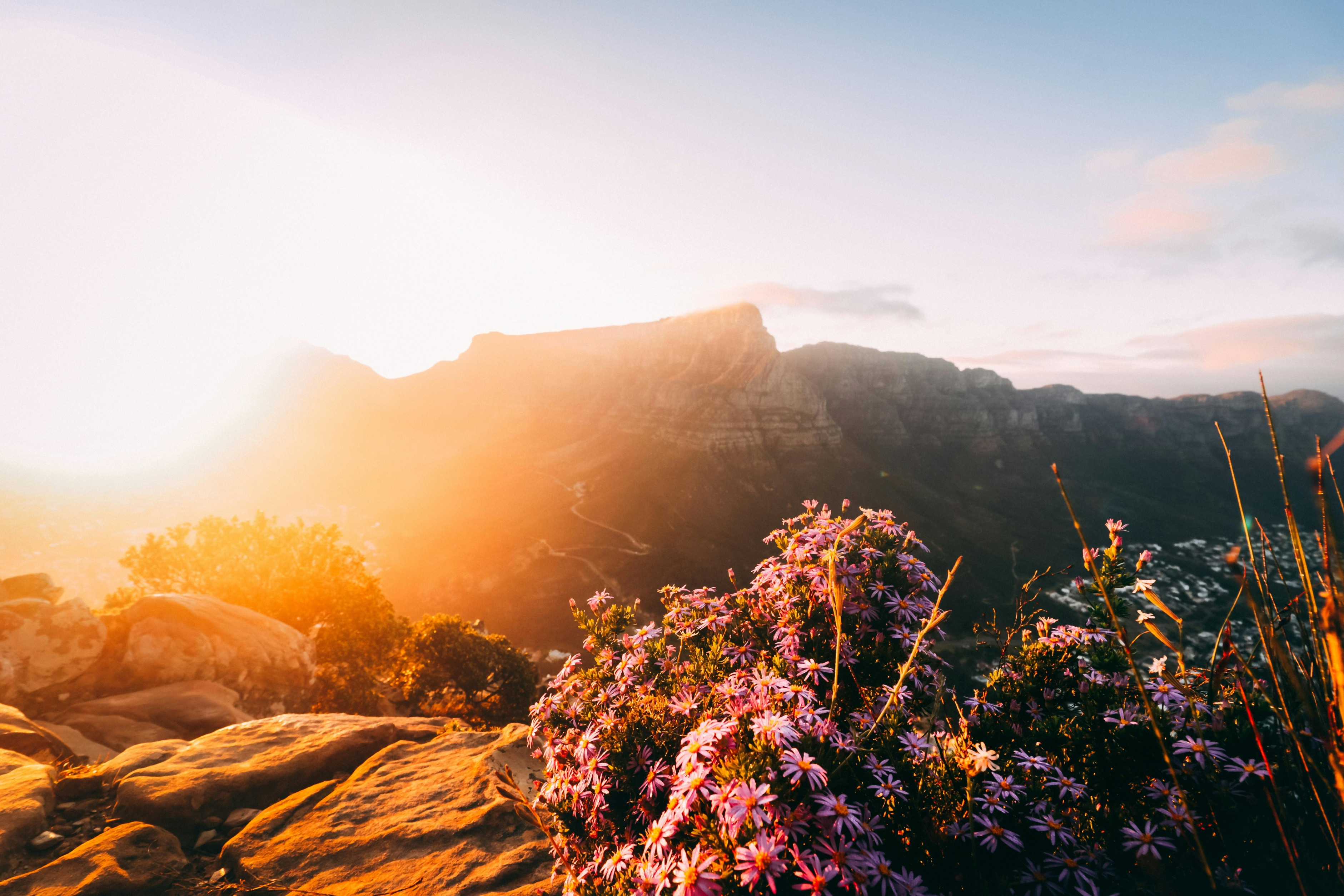 Photo by Taryn Elliott: https://www.pexels.com/photo/sunset-over-mountain-and-flowers-4098987/